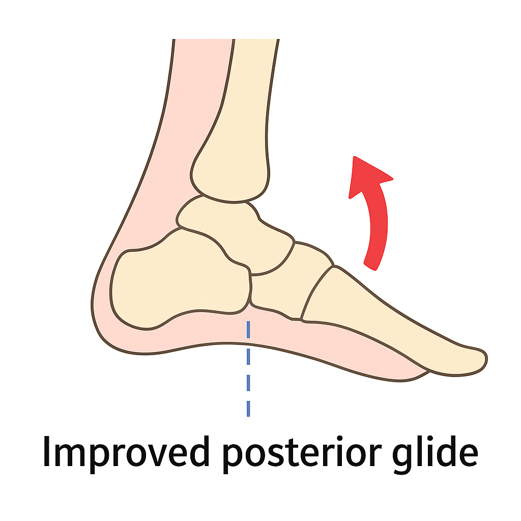 足首が柔らかくなる